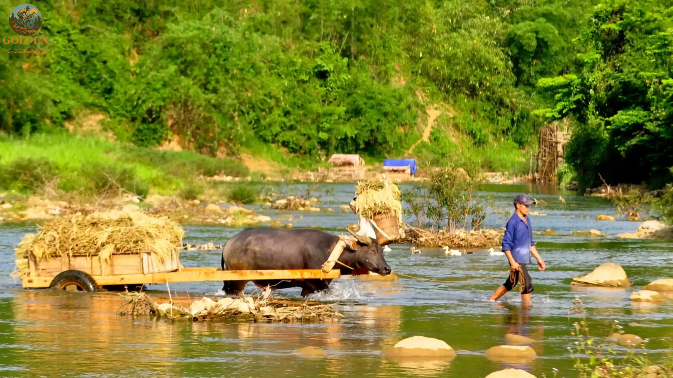 12-Day North Vietnam Cycling Adventure: Off the Beaten Path from Hanoi to Ninh Binh